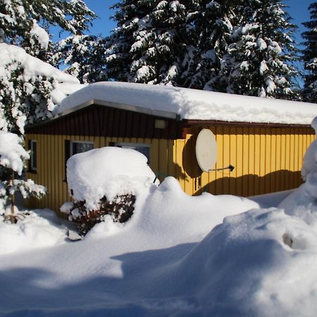 Ferienhaeuser "Zur Hohen Sonne" Thale Exteriör bild