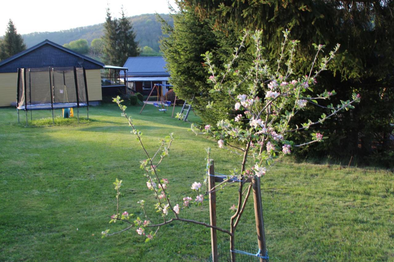 Ferienhaeuser "Zur Hohen Sonne" Thale Exteriör bild
