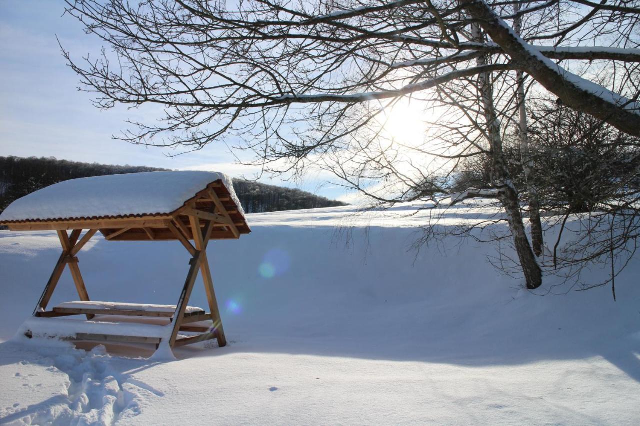 Ferienhaeuser "Zur Hohen Sonne" Thale Exteriör bild